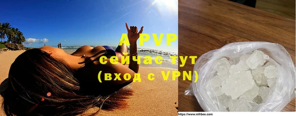 альфа пвп Медвежьегорск
