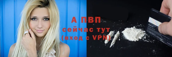 альфа пвп Медвежьегорск